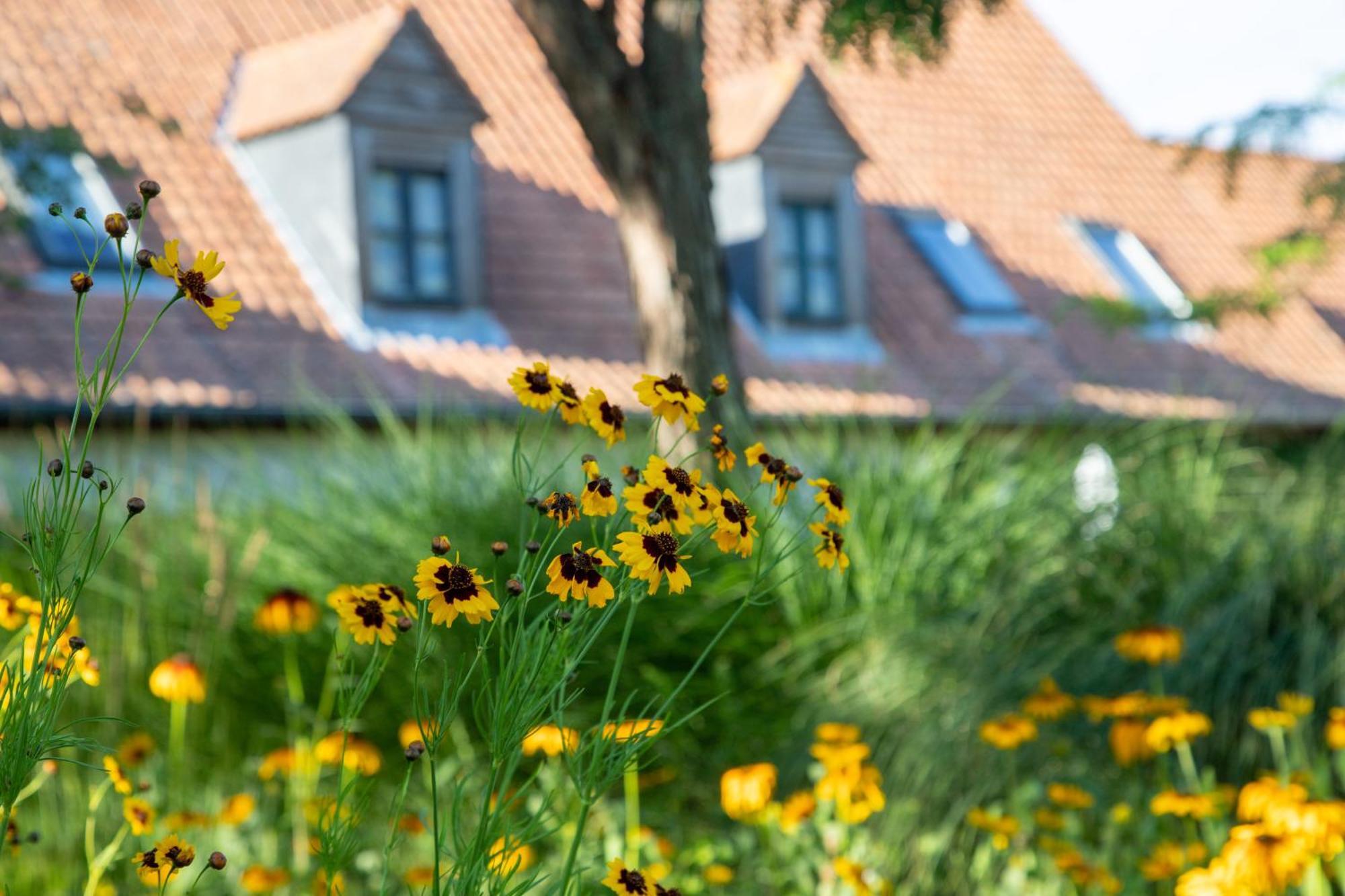 Le Cap Hornu Hotel Saint-Valery-sur-Somme Exterior foto